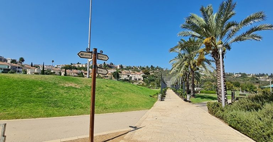 שביל טיילת עם עצי דקל בזכרון יעקב